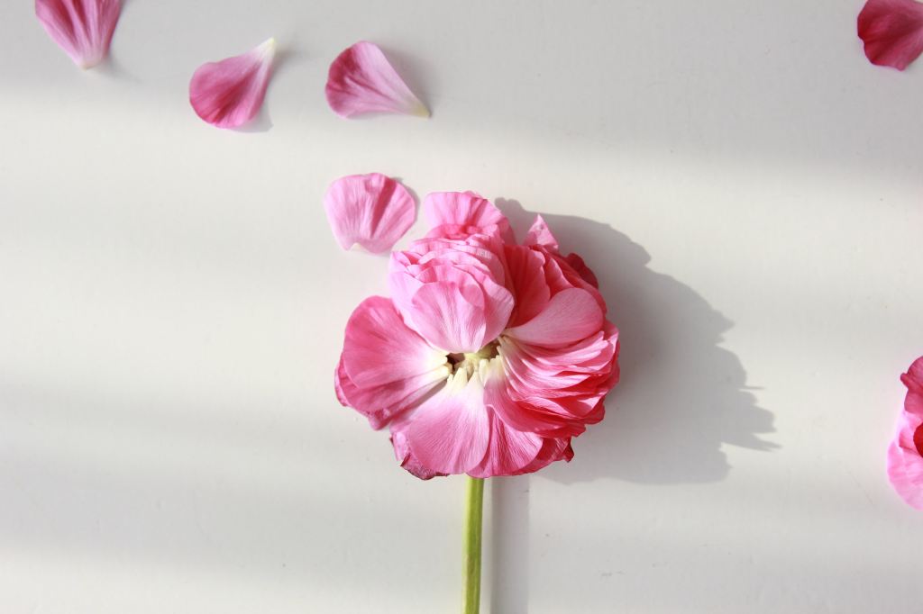 Conflict is Trust: Positive Conflict Resolution