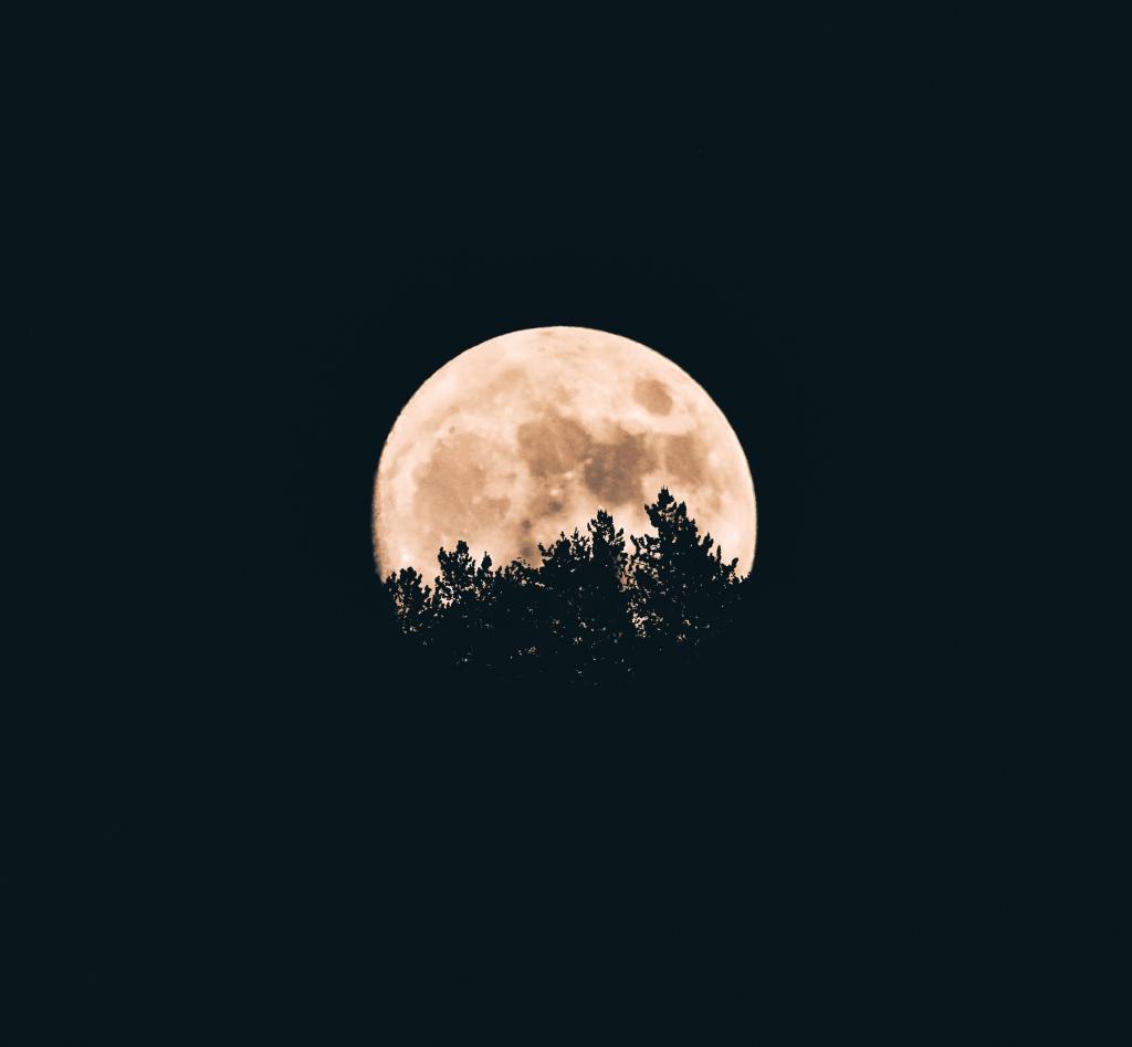 moon to moon: 2021 in&nbsp;review