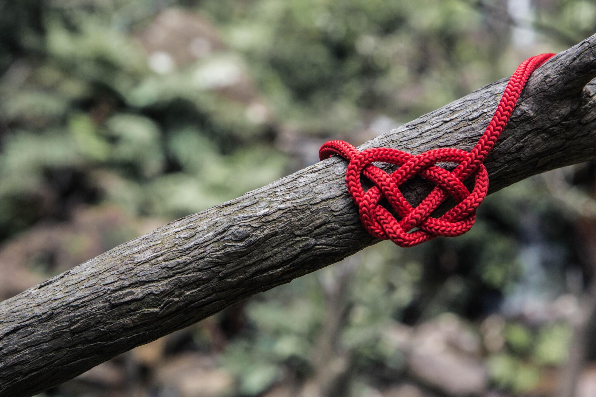 A heart made of red rope hanging on a tree branch. The rope signifies the thread of patterns repeated in relationships and breakups.