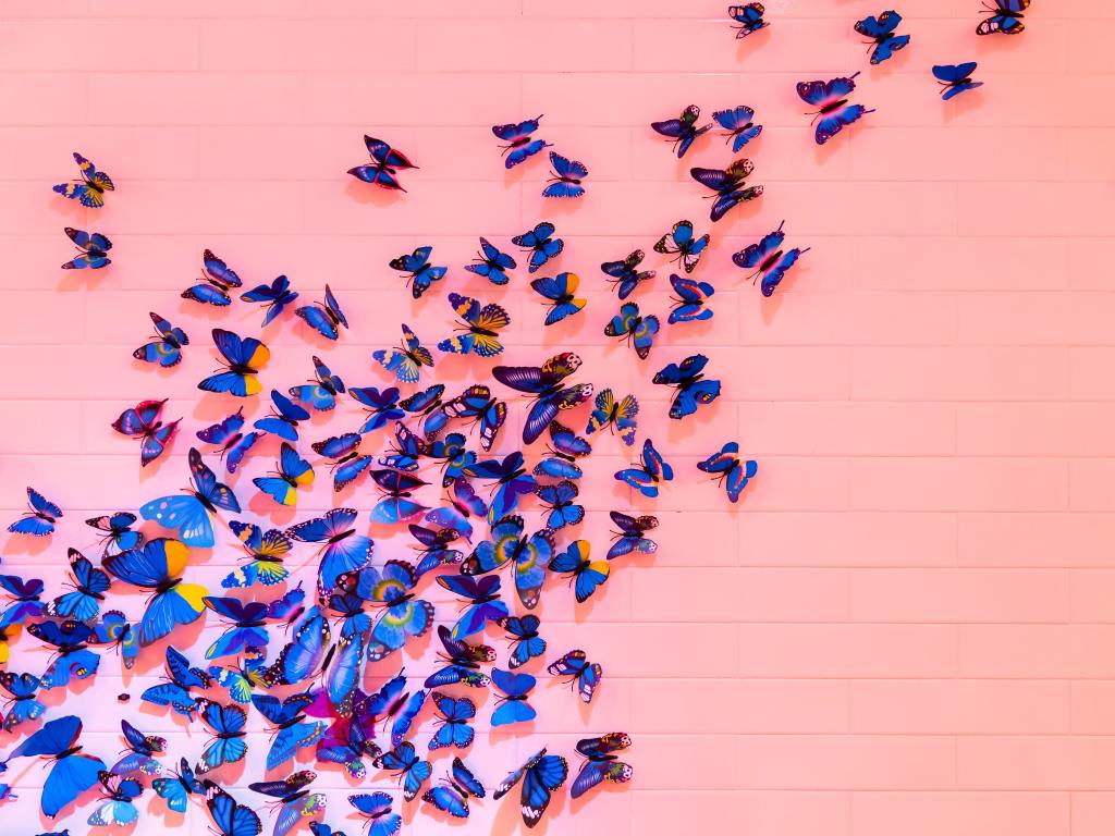 Stream of Consciousness: Butterfly&nbsp;Effect